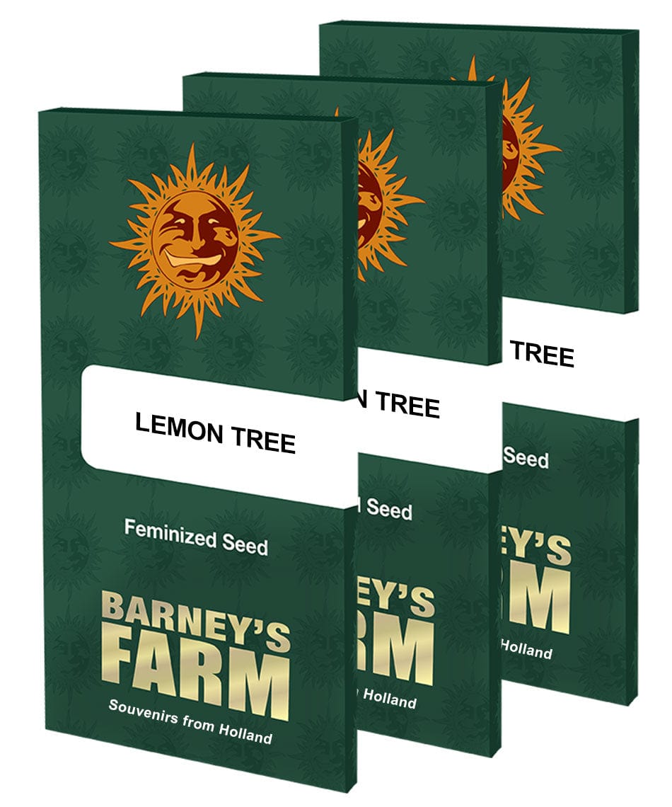 Barney's Farm Lemon Tree